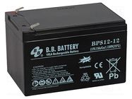 Re-battery: acid-lead; 12V; 12Ah; AGM; maintenance-free; 3.94kg B.B. Battery