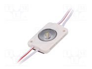 LED; white; 1W; 6500K; 100lm; IP66; 170°; No.of diodes: 1; -25÷60°C POS
