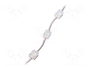 LED; white; 7000K; 300mW; 30lm; IP67; 160°; No.of diodes: 1; -25÷55°C POS