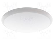 Lamp: plafond; 230VAC; 30W; 3225lm; 120°; 4000K; CRImin: 80; IP65 ADVITI