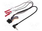 Universal cable for radio; 12pin,Jack 3,5mm,3x radio ACV