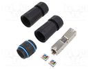 Coupler; shielded; Layout: 8p8c; black; for cable LOGILINK