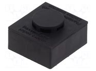 Plug socket SCHLEGEL