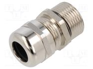 Cable gland; with long thread,with earthing; PG13,5; IP68; brass LAPP