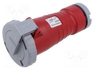 Connector: AC supply 3-phase; plug; female; 16A; 415VAC; IEC 60309 AMPHENOL