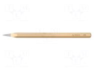 Pointed chisel; L: 400mm; Plating: varnish; Size: 20mm RENNSTEIG