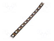 Programmable LED tape; RGBW; 5050; LED/m: 60; 12mm; black PCB; IP20 IPIXEL LED