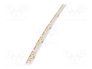 LED tape; white neutral; 24V; LED/m: 240; 10mm; IP20; 120°; 9.6W/m KLUŚ