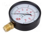 Manometer; 0÷10bar; non-aggressive liquids,inert gases; 100mm PNEUMAT