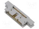Plug; IDC; male; PIN: 20; IDC; for ribbon cable; 1.27mm; gold-plated 3M