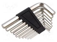 Wrenches set; hex key; 10pcs. PG PROFESSIONAL