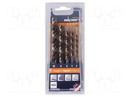 Drill set; for wood; high speed steel; plastic cassette; 5pcs. ALPEN-MAYKESTAG