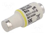 Fuse: fuse; 30A; 500VAC; 500VDC; gR; industrial; DII; SILIZED SIEMENS