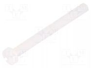 Screw; M4x40; 0.7; Head: cheese head; slotted; 1.3mm; polyamide DREMEC