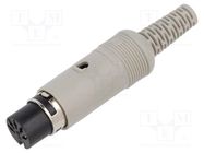 Connector: DIN; plug; female; PIN: 3; Layout: 180°; straight; grey HIRSCHMANN