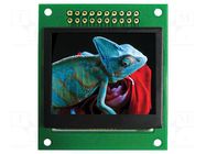 Display: OLED; graphical; 1.69"; 128x64; Dim: 45x52x5.1mm; RGB NEWHAVEN DISPLAY INTERNATIONAL