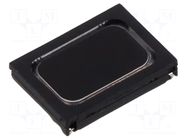 Loudspeaker; miniature; 500mW; 6Ω; 15x11x2.5mm; Sound level: 85dB LOUDITY