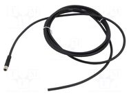 Cable: for sensors/automation; M5; PIN: 4; straight; 2m; plug; VK IPF ELECTRONIC