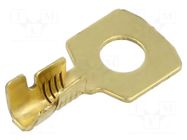 Tip: ring; M5; 1÷2.5mm2; crimped; for cable; straight; brass; bulk IMP