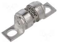 Fuse: fuse; 100A; 240VAC; 150VDC; ceramic,industrial; LET BUSSMANN