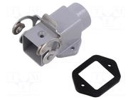 Enclosure for connectors: HDC; size 21.21; for panel mounting ILME