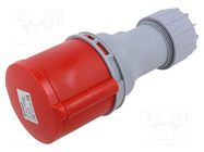 Connector: AC supply; plug; female; 32A; IEC 60309; IP44; PIN: 5 TAIZHOU BAOLUDA ELECTRIC