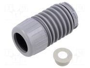Accessories: adapter to be screwed; silver; IP66,IP69K; -30÷60°C WERMA
