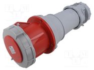 Connector: AC supply; plug; female; 125A; IEC 60309; IP67; PIN: 5 TAIZHOU BAOLUDA ELECTRIC