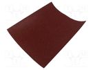 Cleaning cloth: sandpaper; Granularity: 80; 230x280mm PG PROFESSIONAL