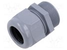 Cable gland; without nut,with long thread; M40; 1.5; IP68; grey TE Connectivity