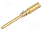 Contact; male; copper alloy; gold-plated; 1.5mm2; 16AWG; CD; 10A ILME