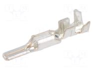 Contact; male; Mizu-P25; tinned; 22AWG÷20AWG; crimped; for cable MOLEX