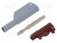 Connector: 4mm banana; plug; 32A; 1kV; grey; insulated; 2.5mm2 SCHÜTZINGER