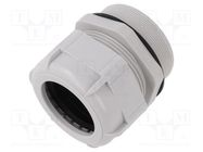 Cable gland; with long thread; M63; 1.5; IP68; polyamide; grey BM GROUP