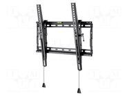 LCD/LED holder; black; tiltable; 70kg Goobay