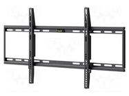 LCD/LED holder; black; permanent; 75kg GOOBAY