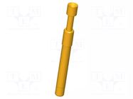 Test needle; Spring compression: 4mm; 5.3mm; 5A; steel; Ø: 3mm; 0.6N INGUN