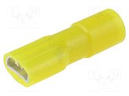 Terminal: flat; 6.3mm; 0.8mm; female; 5.5mm2; crimped; for cable NICHIFU