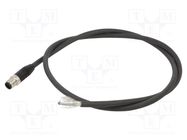 Connection lead; M12; PIN: 5; straight; 1m; socket; 250VAC; 4A; male LUMBERG AUTOMATION