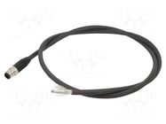 Cable: for sensors/automation; M12; PIN: 5; straight; 1m; socket LUMBERG AUTOMATION