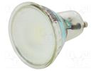 LED lamp; cool white; GU10; 230VAC; 460lm; 5W; 110°; 6400K GTV Poland