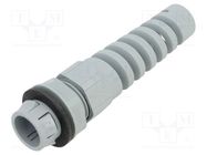 Cable gland; M20; 0; IP68; polyamide; SKINTOP® CLICK BS LAPP