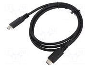 Cable; USB C plug x2; 1m; Core: Cu; PVC; Interface: 480Mbps ART
