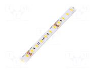 LED tape; white warm; 2835; LED/m: 120; 8mm; IP64; 120°; 9.6W/m POS