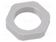 Nut; NPT3/8"; polyamide; light grey; Thread: inch,NPT; with flange LAPP