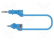 Test lead; 60VDC; 30VAC; 20A; banana plug 4mm,both sides; blue ELECTRO-PJP