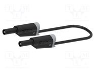 Test lead; 36A; banana plug 4mm,both sides; Urated: 1kV; black ELECTRO-PJP