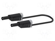 Test lead; 36A; banana plug 4mm,both sides; Urated: 1kV; black ELECTRO-PJP