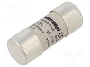 Fuse: fuse; gG; 125A; 500VAC; 250VDC; 22x58mm MERSEN