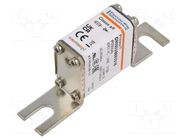 Fuse: fuse; 315A; 690VAC; aR; ceramic,industrial; NH000 MERSEN